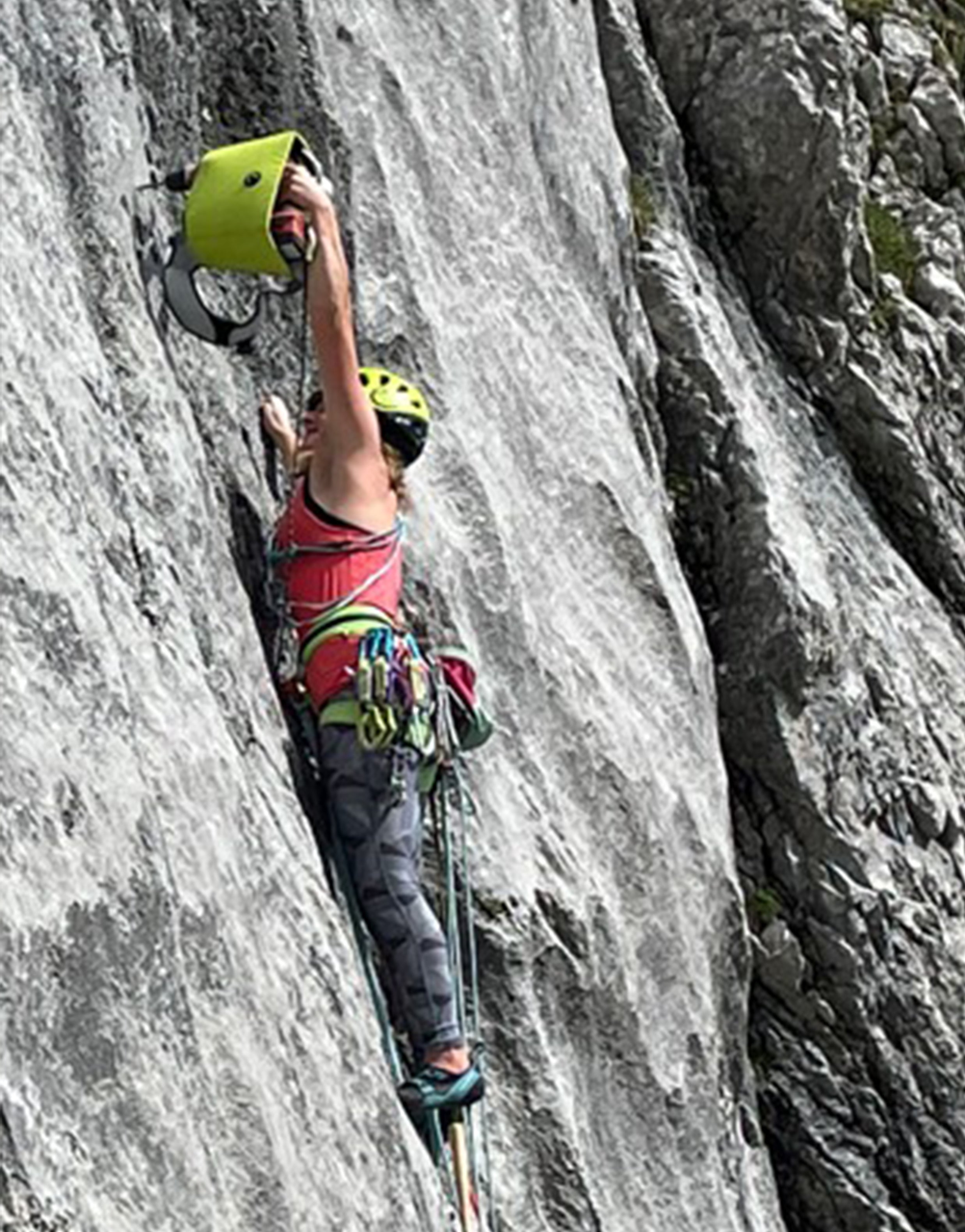 Von summenden Bohrmaschinen und fliegenden Peckern