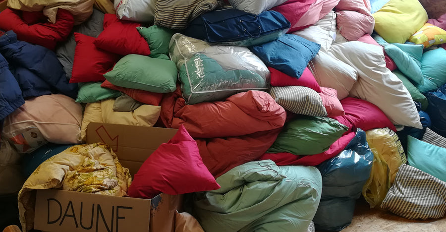 DownUpCycling: Der Daunenberg von Laupheim