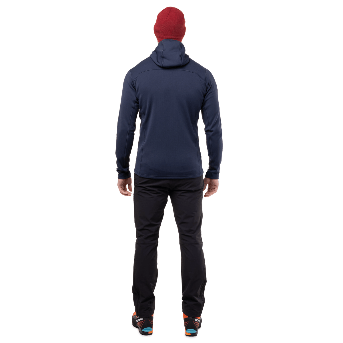 Me-01286 Cosmos,Me-01866 Pine,Me-01899 Admiral Blue