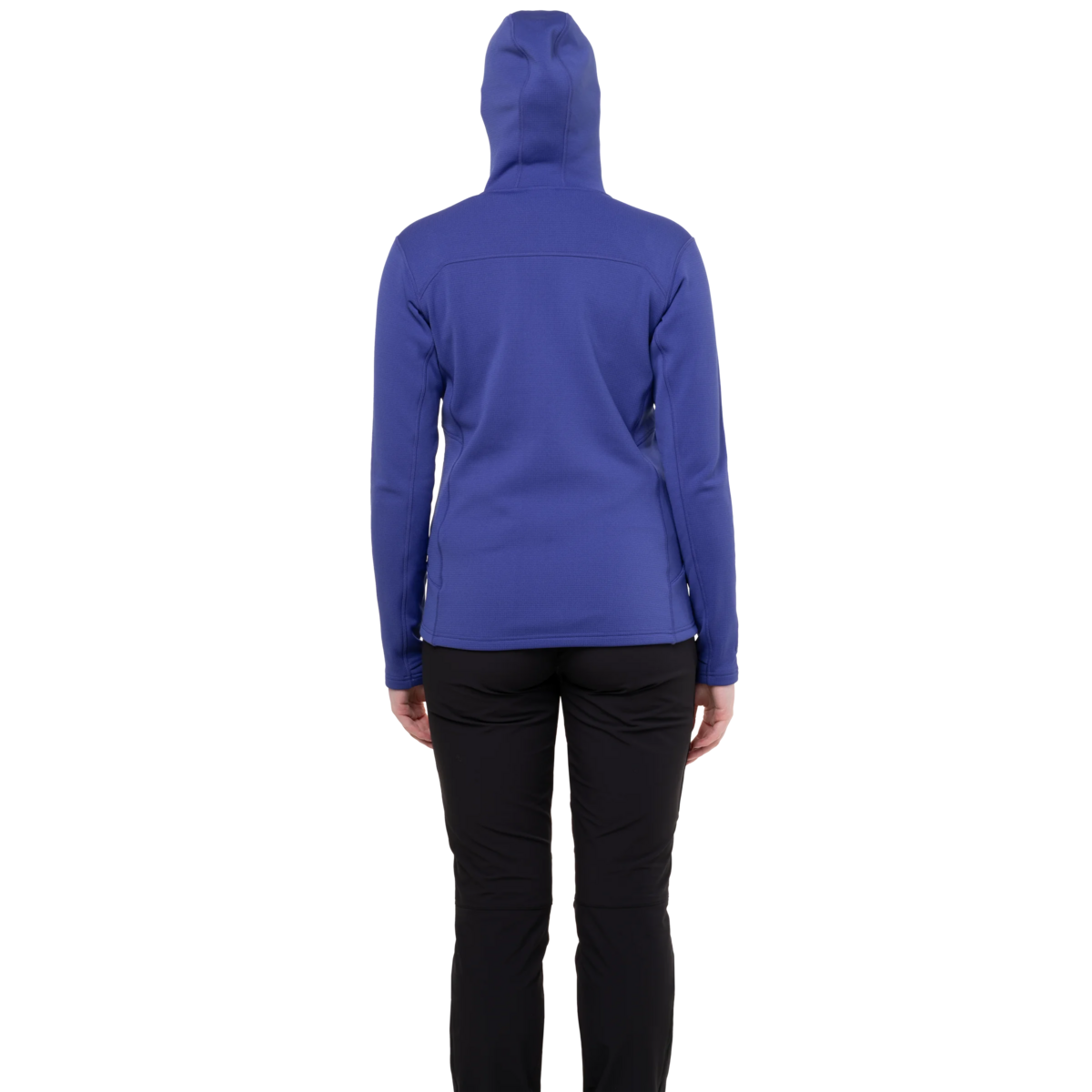 Me-02237 Clematis,Me-02258 Four Leaf Clover,Me-01286 Cosmos