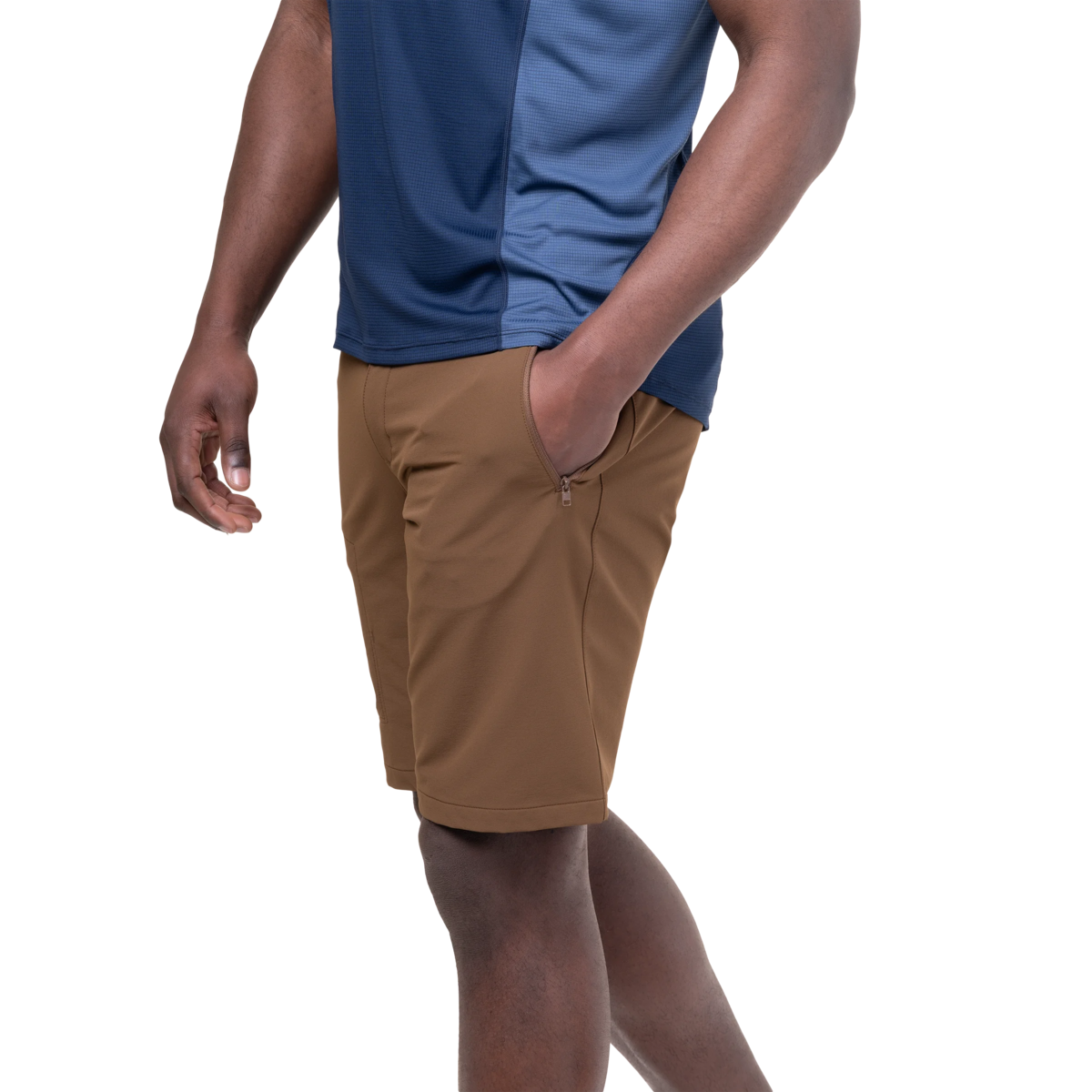 Me-02231 Desert Palm