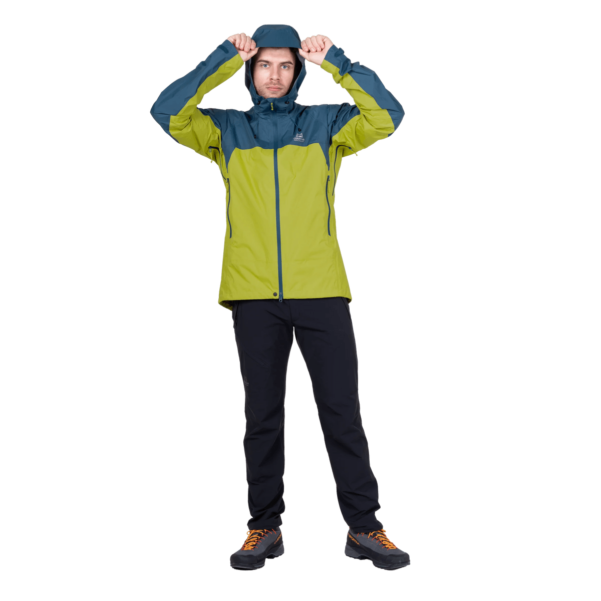 Me-02209 Vine/Majolica