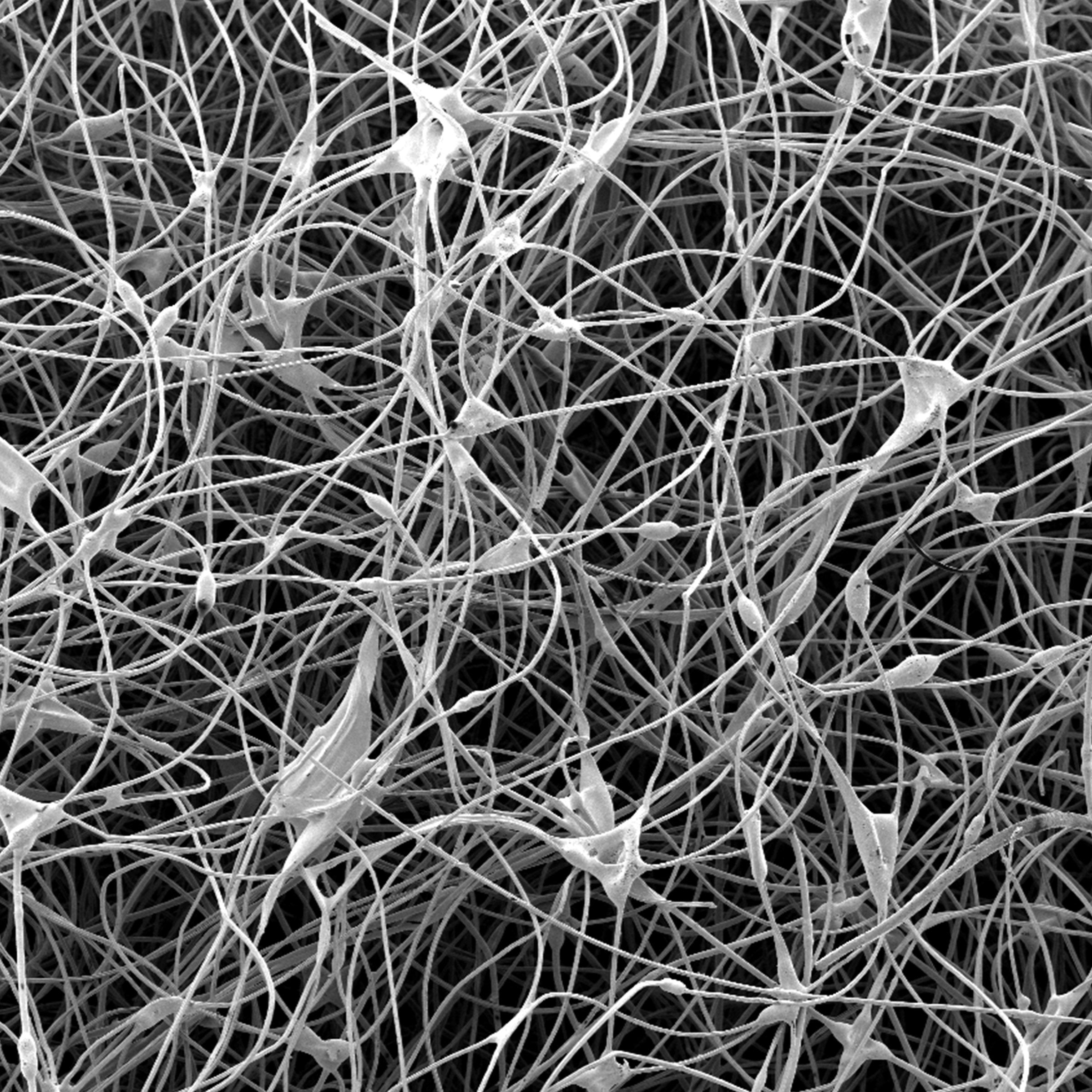 detail::Unsere bewährteste und sehr zuverlässige Kunstfaser Isolation, die die perfekte Balance aus Wärme, Komfort und Langlebigkeit bietet. Die verwendeten Fasern haben unterschiedliche Durchmesser: Die dickeren Fasern sorgen für Langlebigkeit und Stabilität, die feineren für wohlige Wärme.