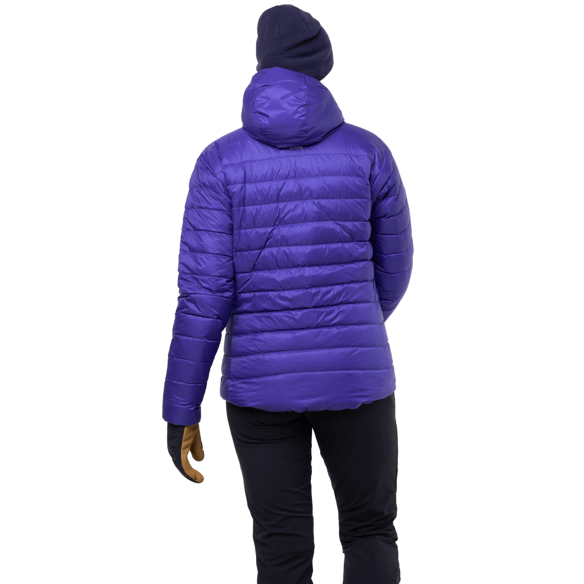 Me-02237 Clematis,Me-01590 Deep Teal