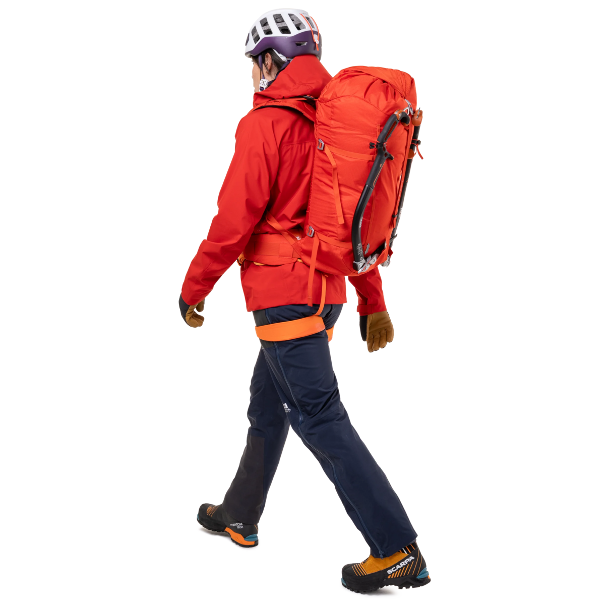 Me-01286 Cosmos,Me-01004 Black