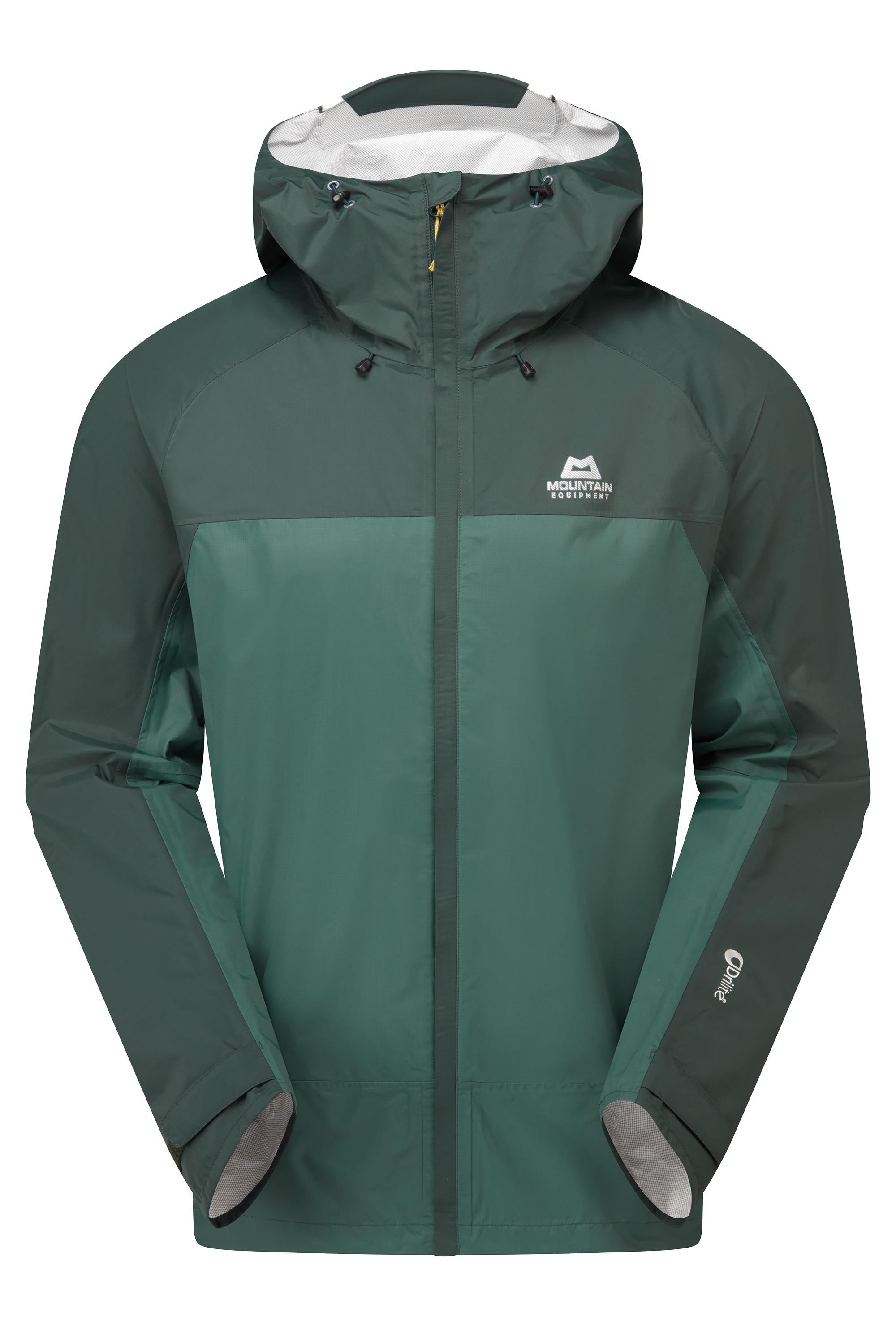 Me-01847 Fern/Pine