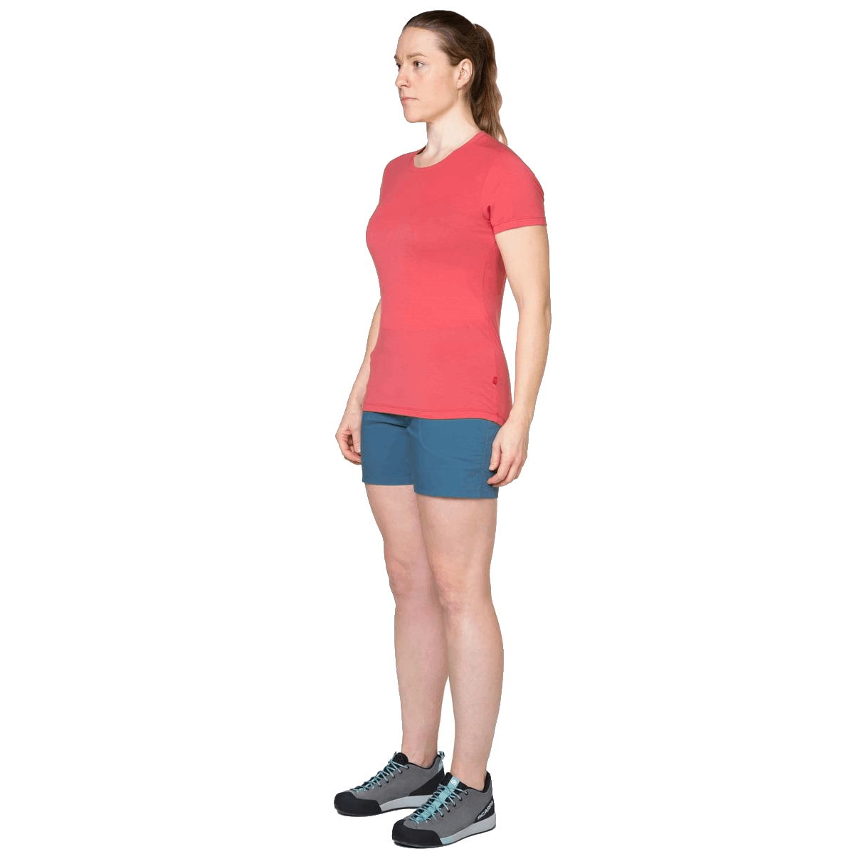 Me-01904 Indian Teal