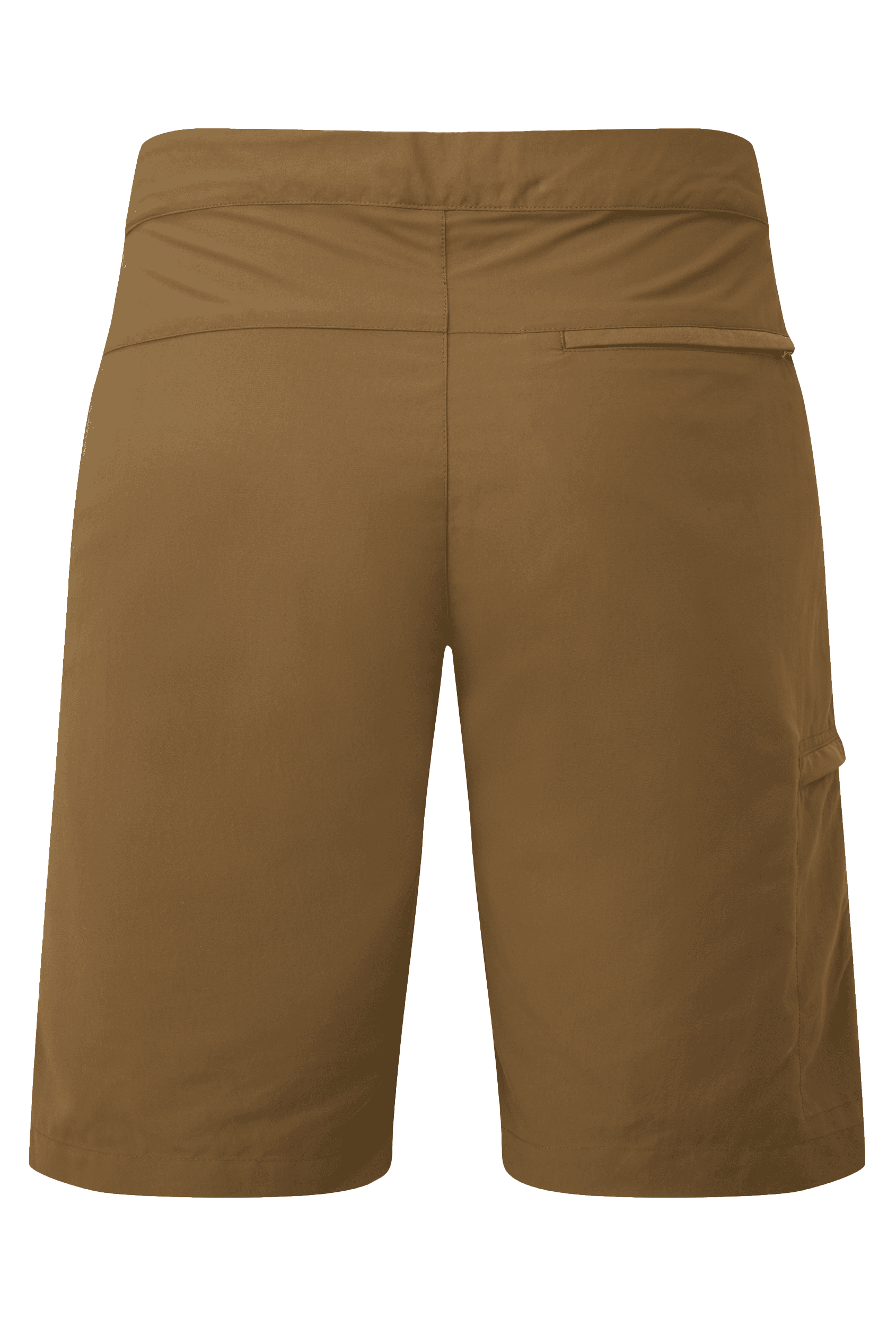 Me-02231 Desert Palm