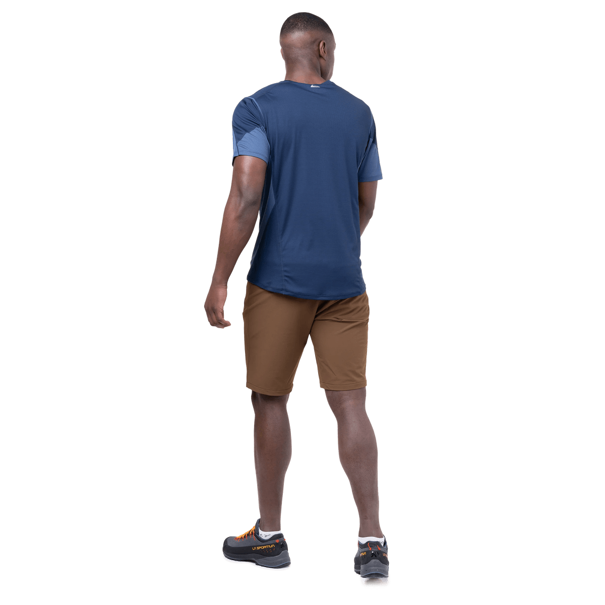 Me-02231 Desert Palm