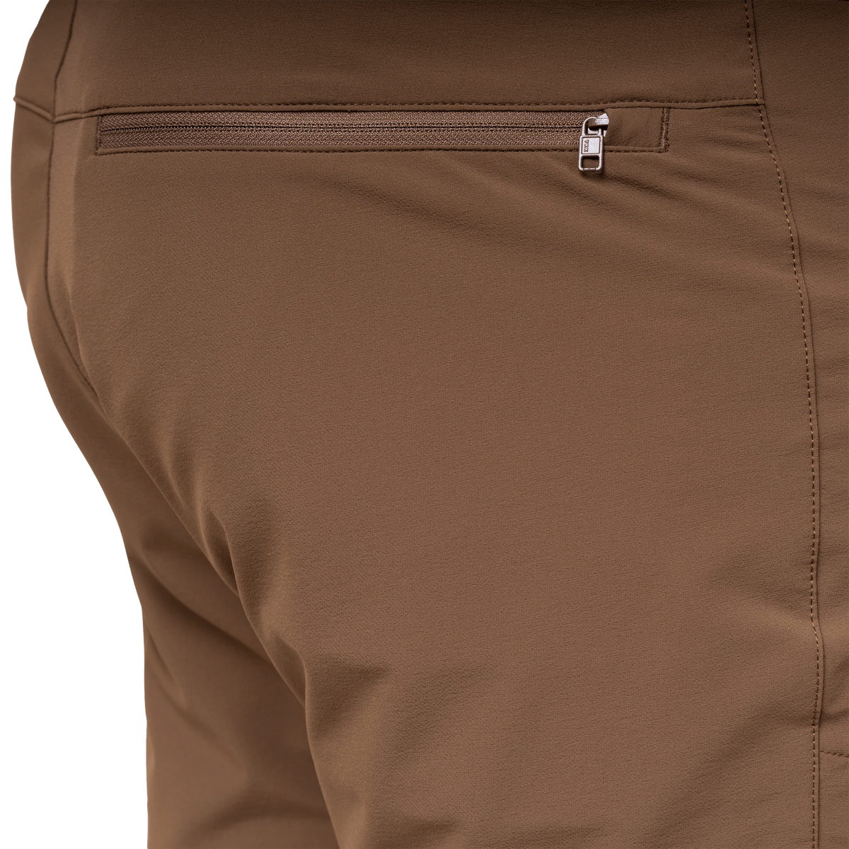 Me-02231 Desert Palm