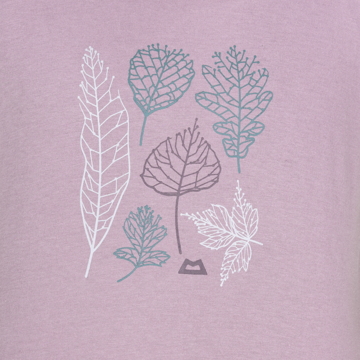Me-02279 Allium