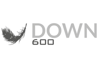 Down 600