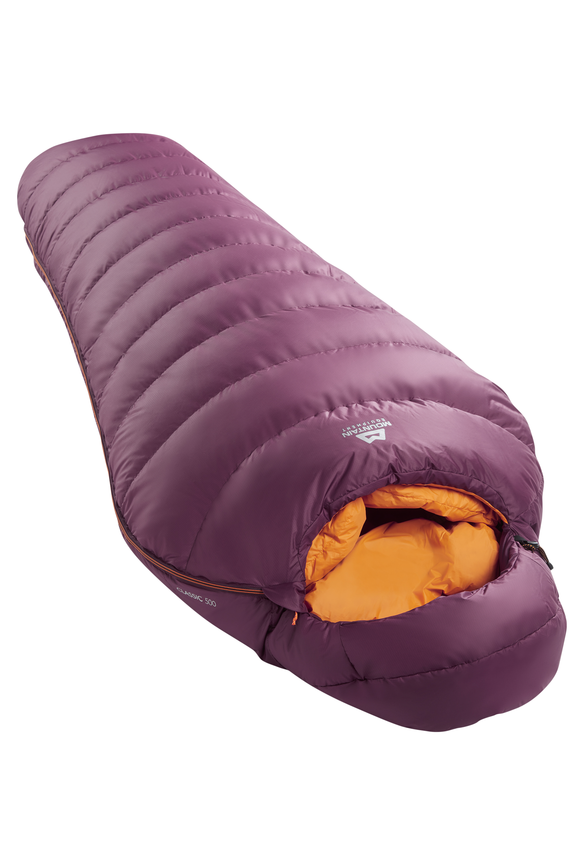 ME-01730 Raisin